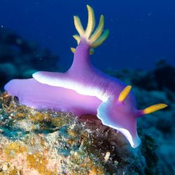 あっという間に11月に！