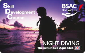 nightdiving